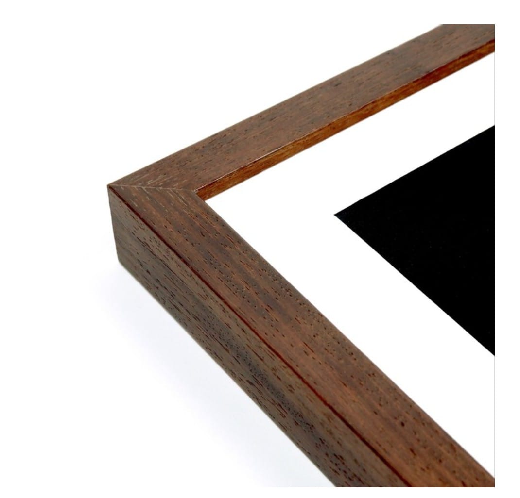 Majestic Lion Oil painting 18 inches x 13 inches