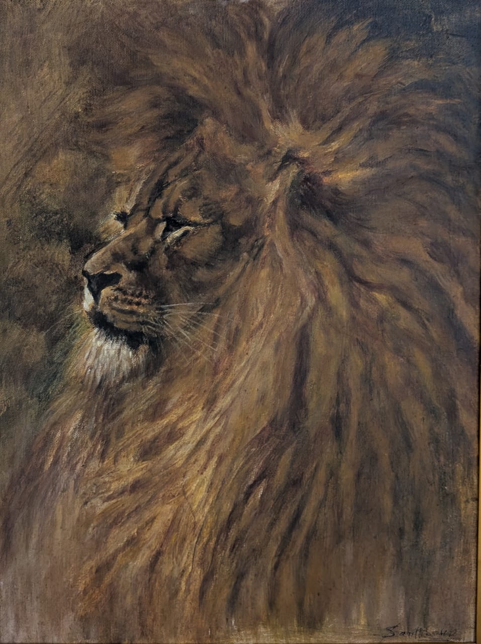 Majestic Lion Oil painting 18 inches x 13 inches